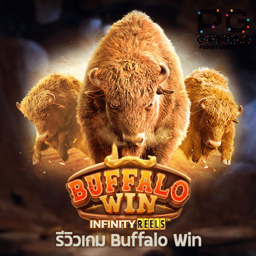 รีวิว Buffalo Win