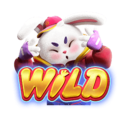 wild Fortune Rabbit