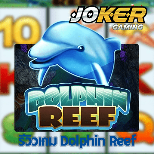 รีวิว Dolphin Reef