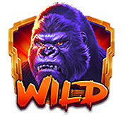 Wild Jungle King